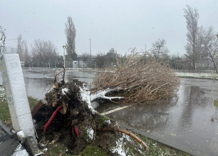 cod galben de de intensificari ale vantului si ninsori viscolite evitati sa treceti sau sa stationati in apropierea copacilor stalpilor imobilelor in constructie 694f48a81fa3f