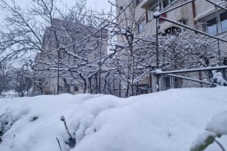 cod galben de vant puternic si ninsori in constanta 694ebb62a2b50