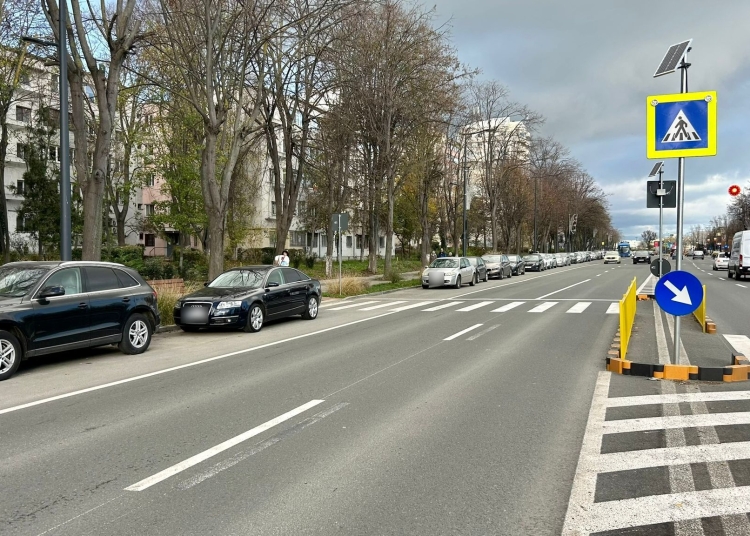 confort urban continua montarea separatorilor de trafic pe bulevardul alexandru lapusneanu 6931818bb5929