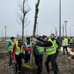 consilierii locali au votat necesitatea si oportunitatea amenajarii parcului etniilor arborele vietii 694b251e652d0