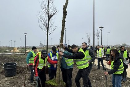 consilierii locali au votat necesitatea si oportunitatea amenajarii parcului etniilor arborele vietii 694b251e652d0