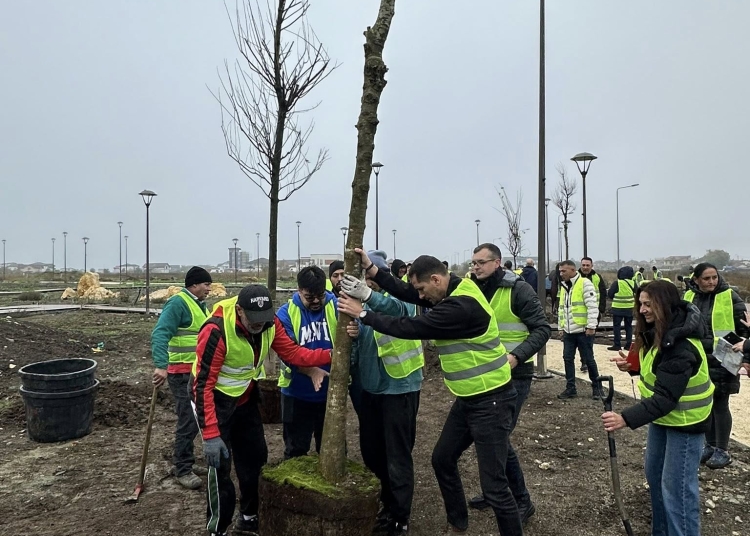 consilierii locali au votat necesitatea si oportunitatea amenajarii parcului etniilor arborele vietii 694b251e652d0