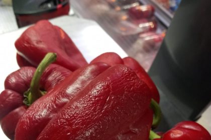 controale anpc in zonele turistice amenzi de aproape 680 000 de lei si servicii suspendate 6953e4cdaf700