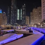 crima ingrozitoate o femeie si a ucis mama cu ajutorul unei asistente pentru mostenirea pe care voia sa o cheltuie sa se mute in dubai 69507e3a2ec10