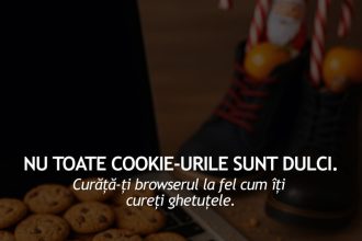 dnsc atrage atentia asupra pericolului din spatele cookie urilor 694f9c0017535