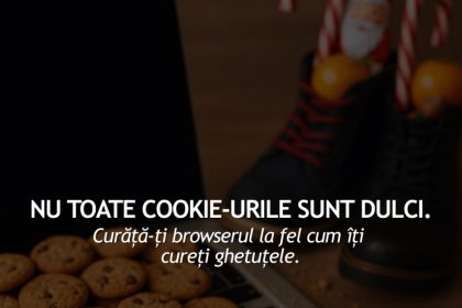 dnsc atrage atentia asupra pericolului din spatele cookie urilor 694f9c0017535