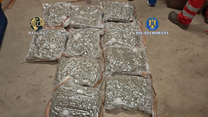 droguri ascunse in doua trolere introduse in tara din spania prin intermediul unei firme de curierat international 69452fb43f8e5