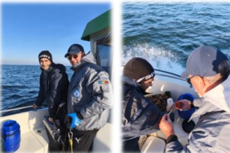 dsvsa constanta si tulcea monitorizeaza zonele din marea neagra pentru exploatarea molustelor marine 694ae3332d6cb