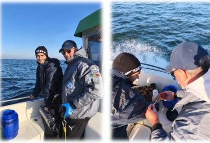 dsvsa constanta si tulcea monitorizeaza zonele din marea neagra pentru exploatarea molustelor marine 694ae3332d6cb