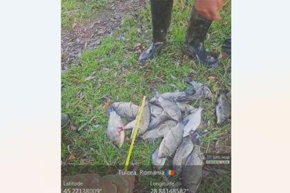 foto arbdd clarifica regula catch release si limitele de retinere a capturilor 69304edd5e6f4