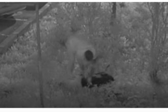 foto cruzime fata de animale la navodari un barbat este anchetat de politie 693bcfa61b28e