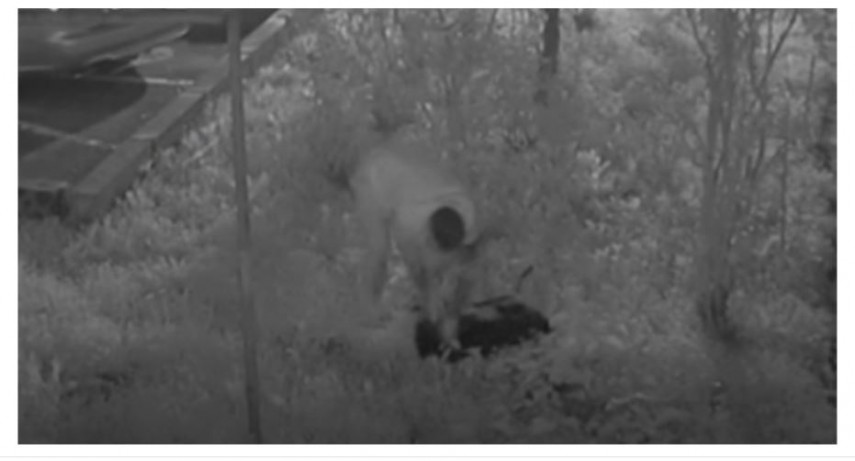 foto cruzime fata de animale la navodari un barbat este anchetat de politie 693bcfa61b28e