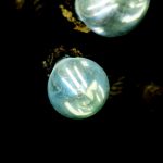 iata in ce localitati din judetul constanta au loc intreruperi de curent 6937bda395d30