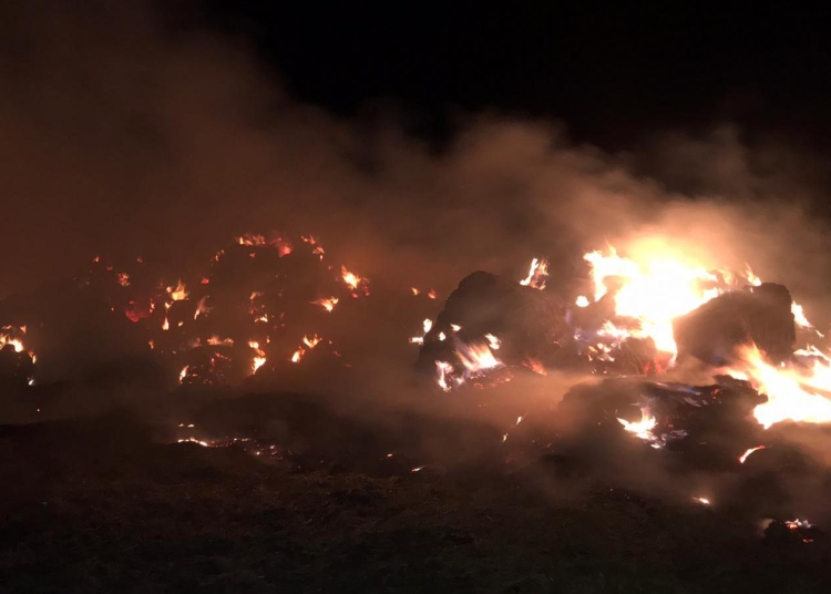 incendiu de proportii in ghindaresti ard 5 000 de baloti de paie 692f215b4b3c9