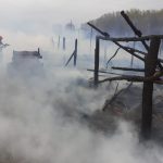 incendiu la o stana de oi din localitatea topalu 693a875174a5b