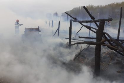 incendiu la o stana de oi din localitatea topalu 693a875174a5b