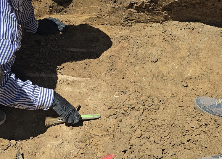 institutul de arheologie din iasi are in lucru monografia necunoscutei necropole romane de pe platforma oil terminal 694349e16d4fe