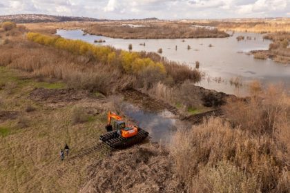 interventie pilot de gestionare a stufului in zona umeda zaghen la tulcea 6945840d4ddd3