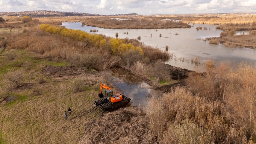 interventie pilot de gestionare a stufului in zona umeda zaghen la tulcea 6945840d4ddd3