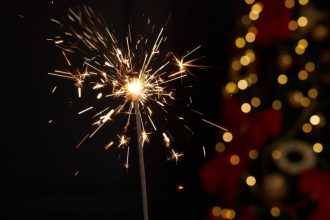 masuri sporite de ordine publica in tulcea jandarmii suplimenteaza efectivele de sarbatori 693d6c59e6a3b