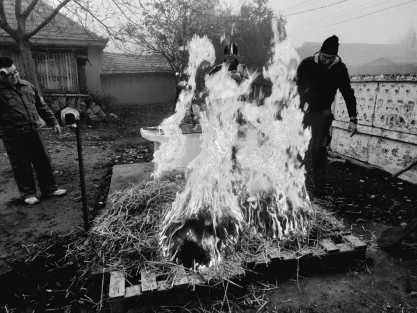 muzeul de arta populara constanta readuce in actualitate traditiile de ignat 69465714edb27