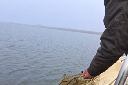 noi actiuni de combatere a braconajului piscicol in rezervatia delta dunarii 6944130c8375c