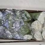 patru persoane trimise in judecata in dosarul unuia dintre cele mai mari laboratoare de productie ilegala de droguri sintetice din romania 69455a1028a44