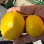 paul anghel director anpc suntem bataia de joc a importatorilor de citrice 6947f2da5fb5c