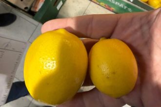 paul anghel director anpc suntem bataia de joc a importatorilor de citrice 6947f2da5fb5c