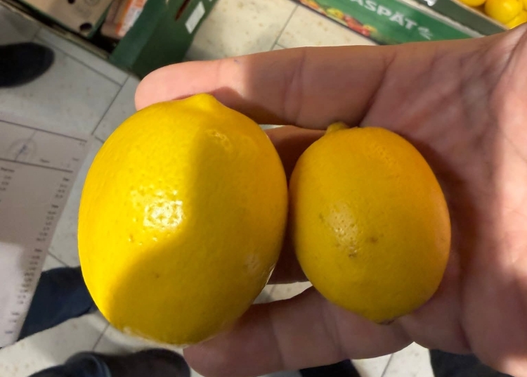 paul anghel director anpc suntem bataia de joc a importatorilor de citrice 6947f2da5fb5c