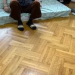 perchezitii de amploare ale politistilor dupa imaginile groaznice din azilul groazei 693eaf61d733a