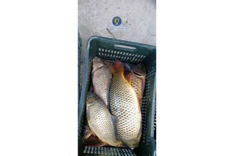 peste 478 kg de peste si 159 de unelte confiscate in actiuni impotriva pescuitului ilegal in tulcea 693e7a1feb7d0