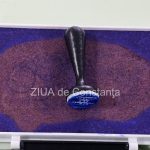 primaria sectorului 6 oficial vacanta cine asigura interimatul si cand pot avea loc noile alegeri 6936a9bf008fb