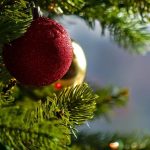 primarul vergil chitac zile linistite si craciun fericit 694c3b1624d0e