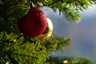 primarul vergil chitac zile linistite si craciun fericit 694c3b1624d0e