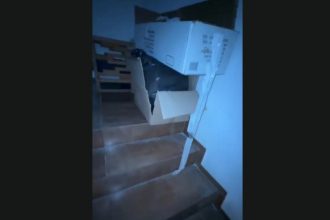 restaurantul namo din constanta inchis temporar de cjpc deficiente grave de igiena si siguranta alimentara 6946e00115a05