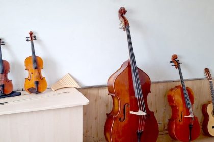 rompetrol doteaza cu instrumente muzicale liceul de arte dinu lipatti pitesti 693acffa20fe1