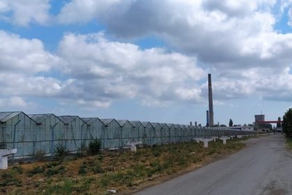 serele solariile ciupercariile silozurile 100 scutita de impozit si in 2026 694ba10a4760b