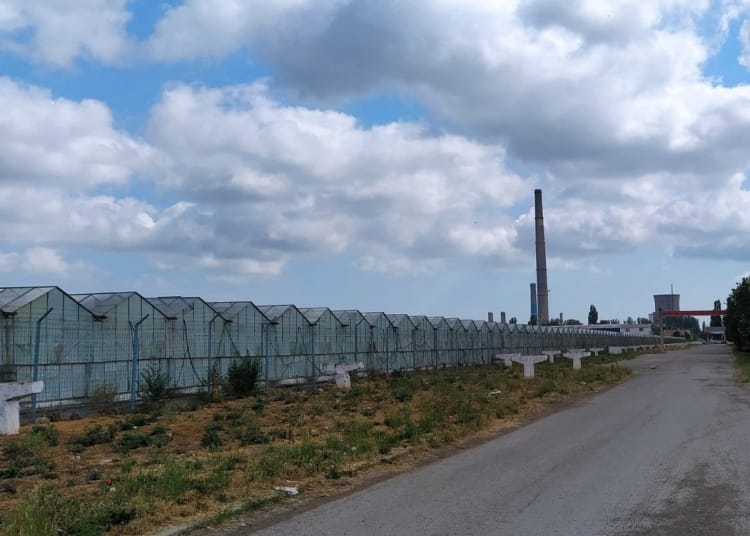 serele solariile ciupercariile silozurile 100 scutita de impozit si in 2026 694ba10a4760b