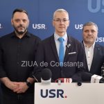 stelian ion sare in apararea dianei buzoianu dupa atacurile din parlament reforma ii sperie pe cei care au jefuit mediul 69383e9dcc5b7