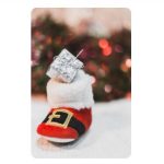 traditii de sfantul nicolae ce trebuie sa faci si ce sa eviti 69331b9e101cf