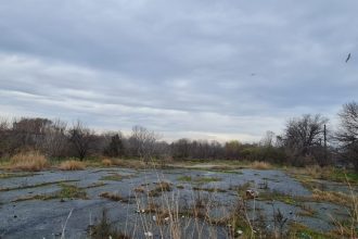 usr constanta critica programarea unei dezbateri publice pe un proiect urbanistic major in ajunul craciunului 693e91cd4688a