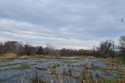 usr constanta critica programarea unei dezbateri publice pe un proiect urbanistic major in ajunul craciunului 693e91cd4688a