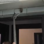 video liliac intr un imobil panica printre locatari interventie a jandarmilor constanteni 69540241e8232