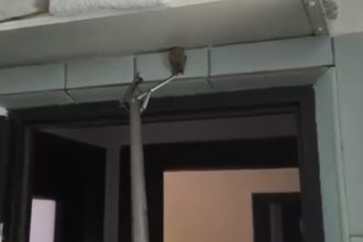 video liliac intr un imobil panica printre locatari interventie a jandarmilor constanteni 69540241e8232