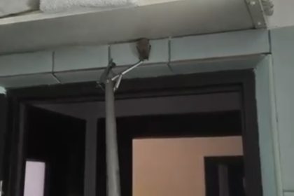 video liliac intr un imobil panica printre locatari interventie a jandarmilor constanteni 69540241e8232