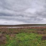 video natura regenerata in rbdd lacul saraturi isi recapata nivelul de apa 69331f6d146ee