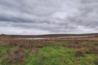 video natura regenerata in rbdd lacul saraturi isi recapata nivelul de apa 69331f6d146ee