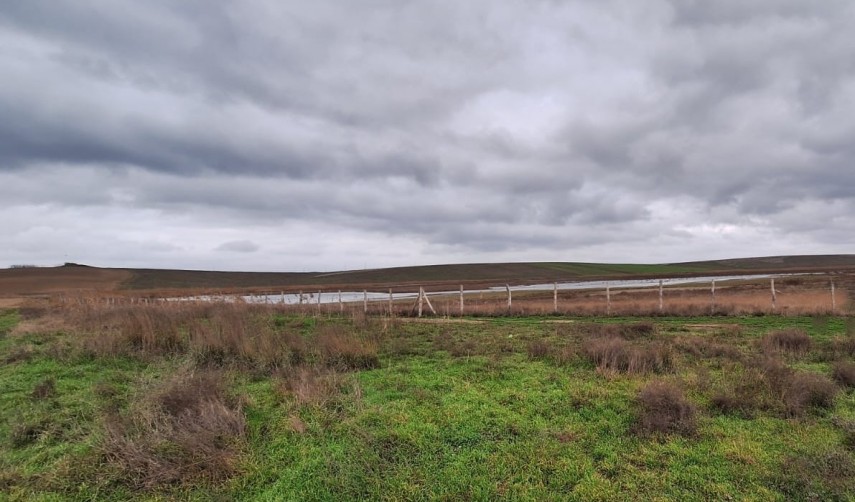 video natura regenerata in rbdd lacul saraturi isi recapata nivelul de apa 69331f6d146ee