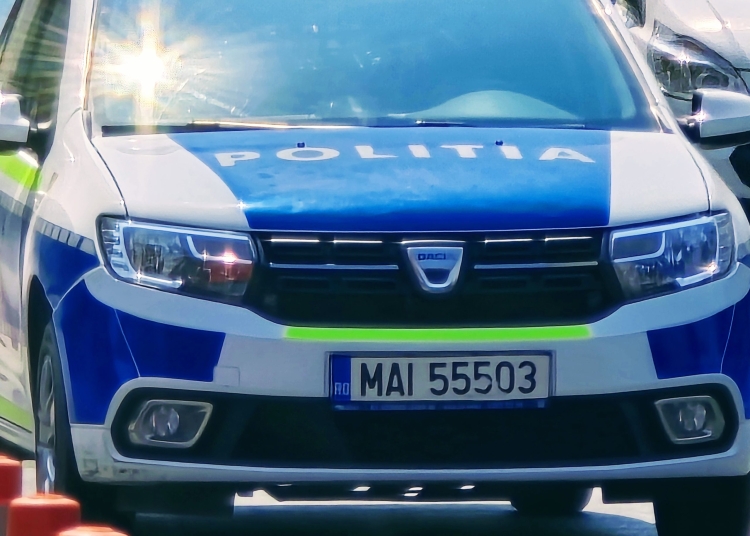 video politistii au intervenit la o sectie de votare din dobromir 6935841e1586b